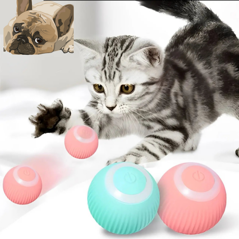 Bolinha Eletrônica Inteligente (para cães e gatos)