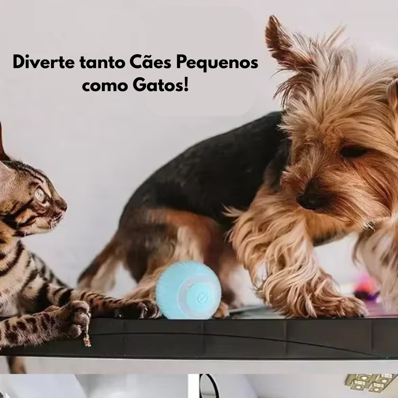 Bolinha Eletrônica Inteligente (para cães e gatos)