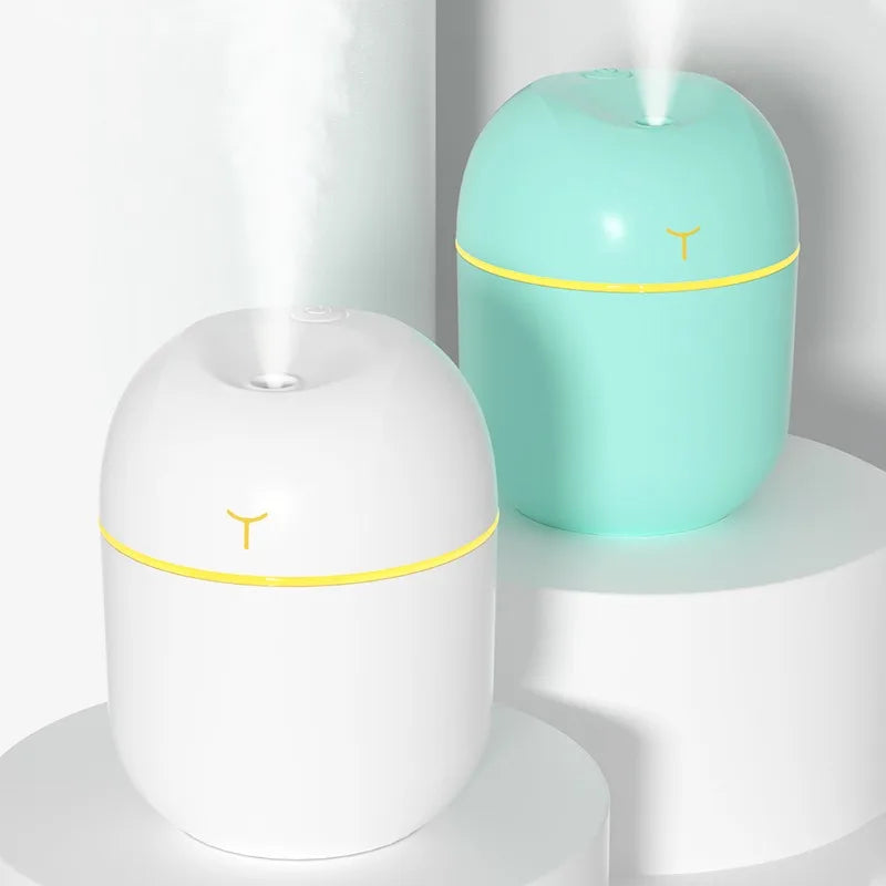 Umidificador Spray Portátil